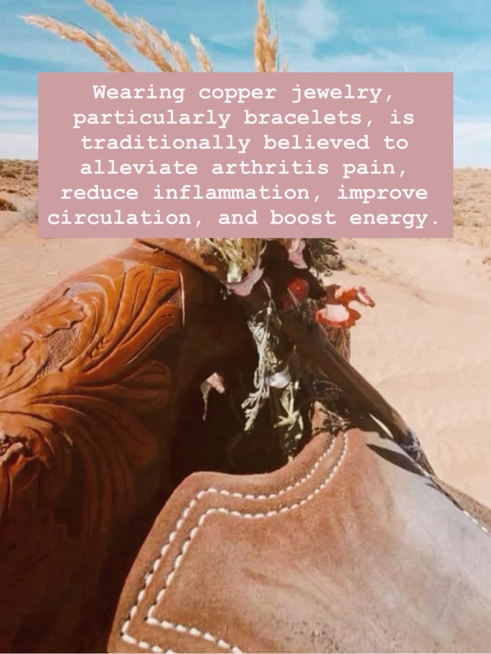 🤩 DID YOU KNOW ???!!!
